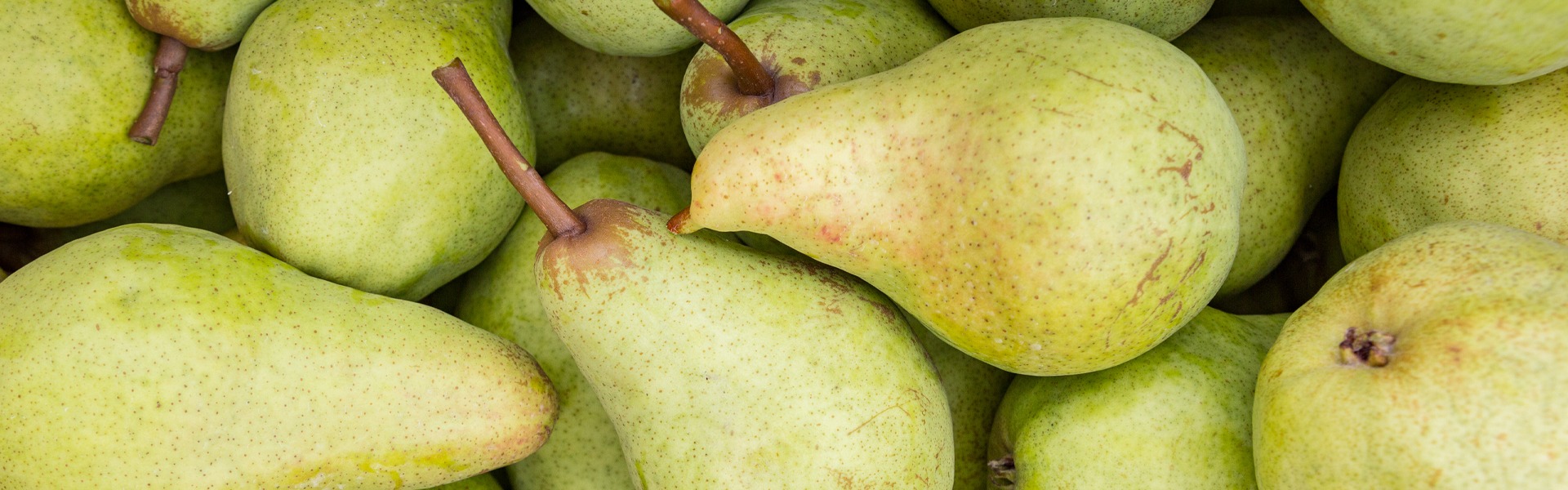 Birnen Archive - OGM Obstgroßmarkt Mittelbaden eG