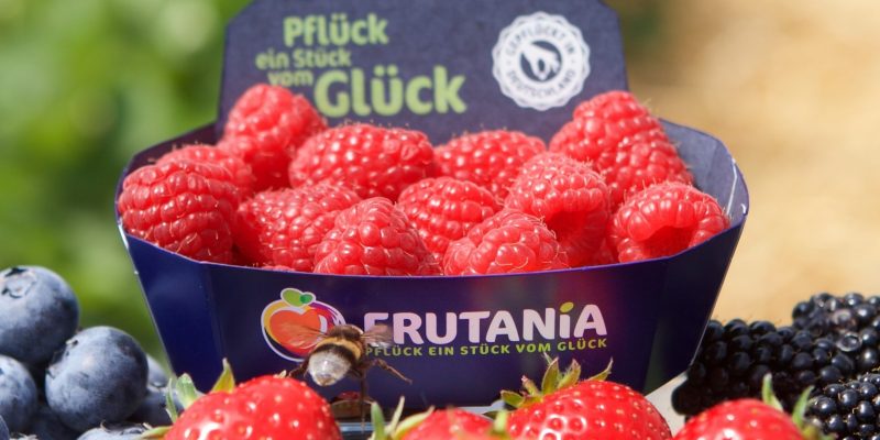Verkaufsfertige, frische Früchte der Frutania GmbH