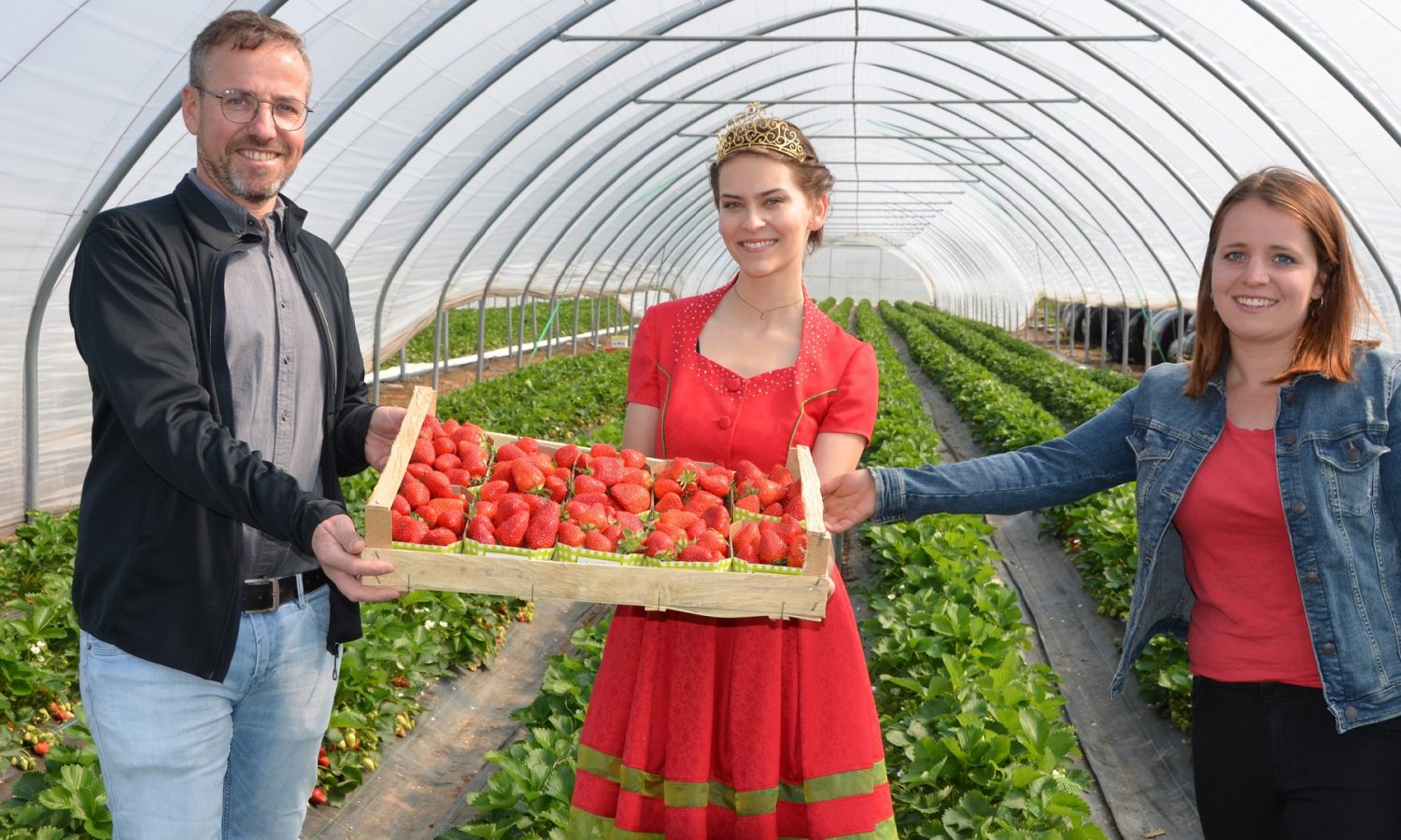 ogm-oberkirch-obstsammelstelle-auftakt-erdbeersaison