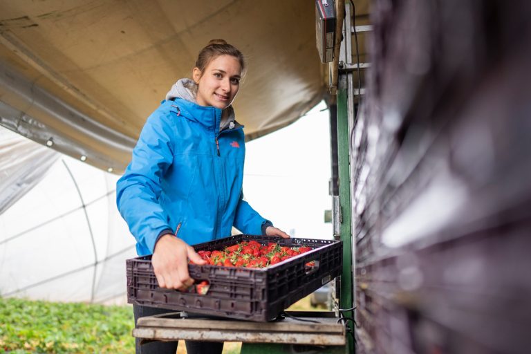 ogm-oberkirch-obstsammelstelle-sasbach-foto-roland-spether