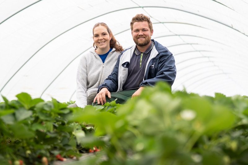 ogm-obstland-baden-frische-fruechte-erzeuger-spraul ogm-obstland-baden-frische-fruechte-erzeuger-spraul